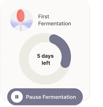 Fermentation countdown card showing 5 days left for First Fermentation